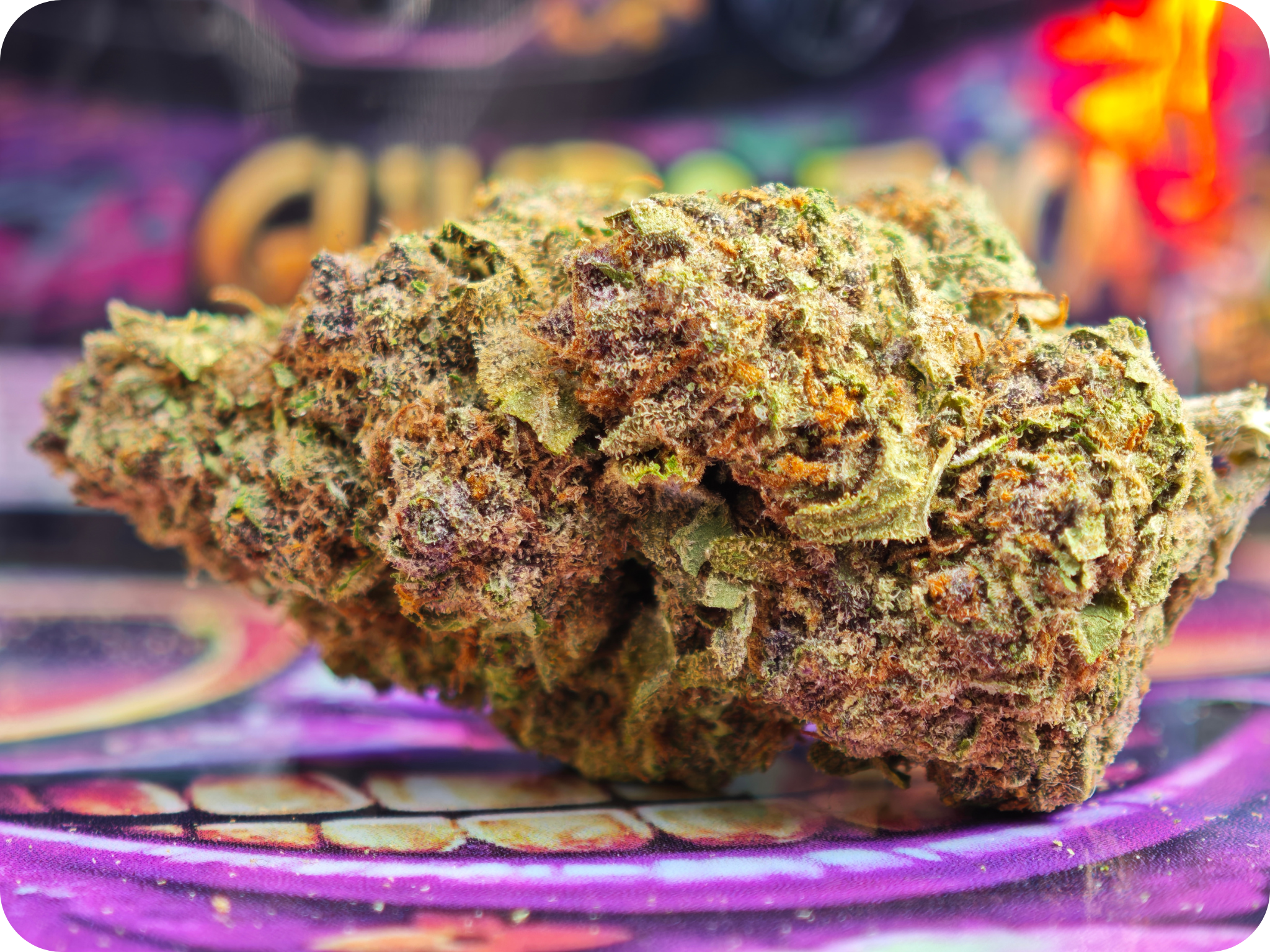 gumbo thca flower achat thca france