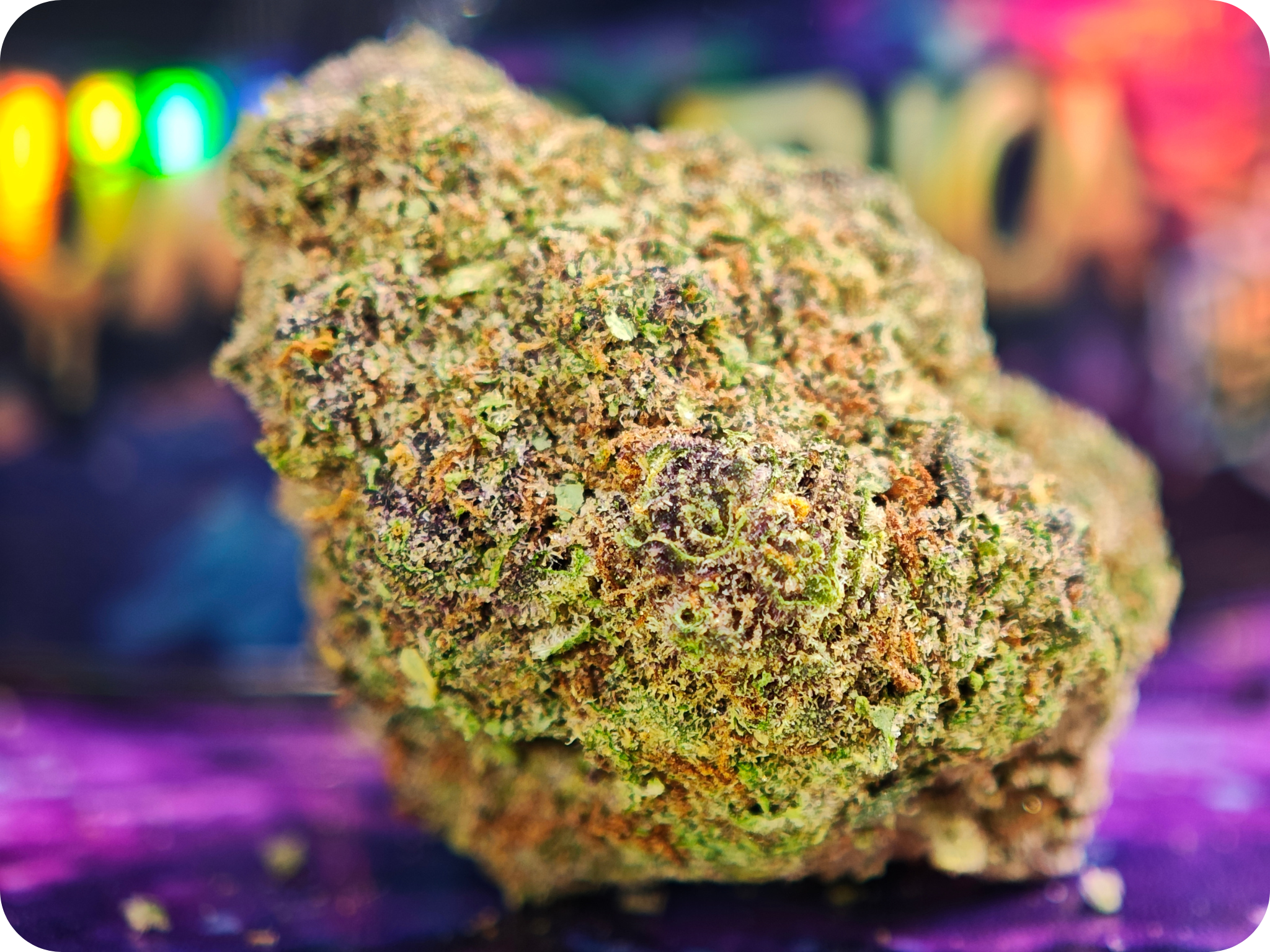 gumbo thca flower achat thca france (2)