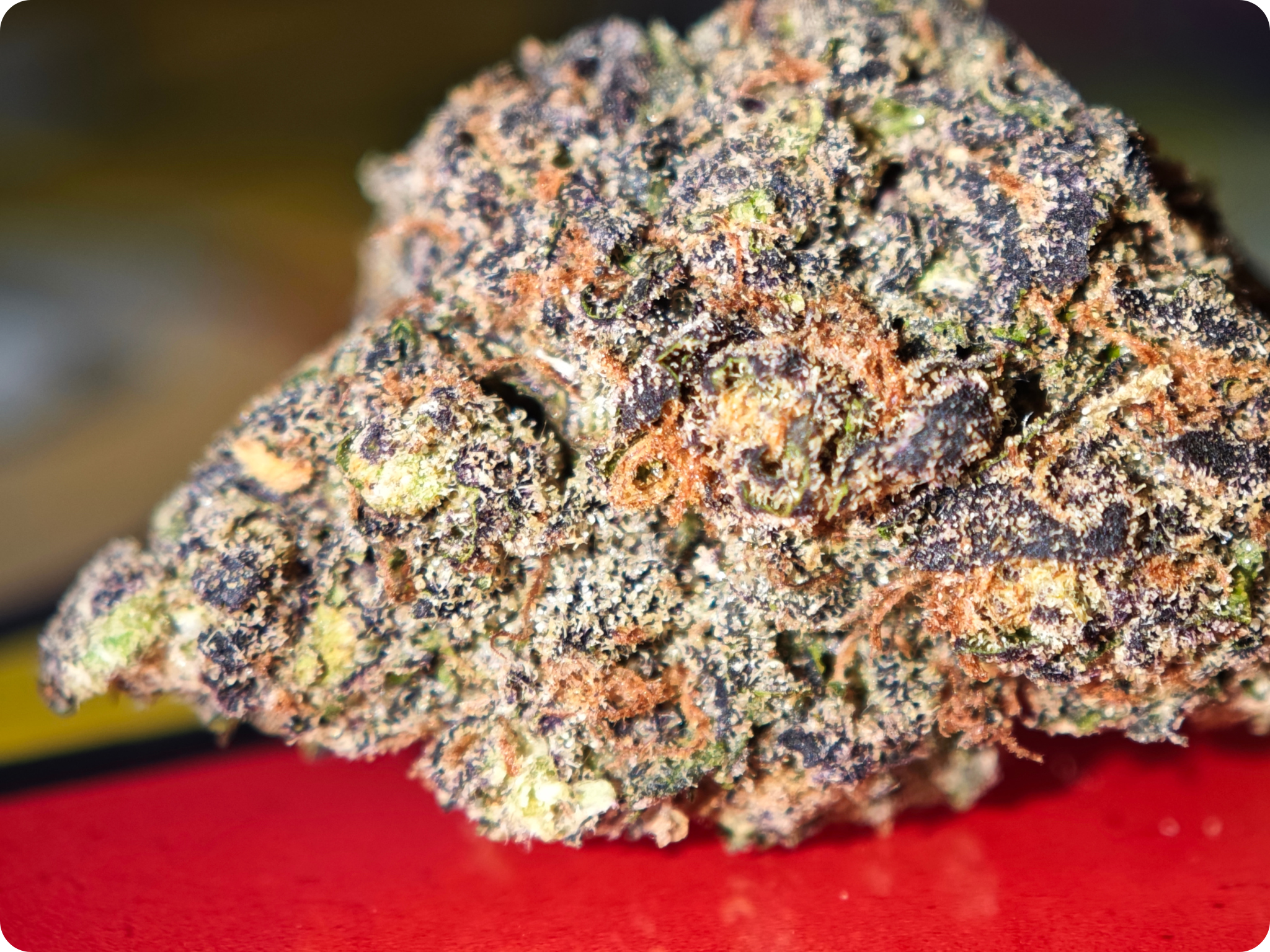 achat thca fleur thca top shelf sour diesel