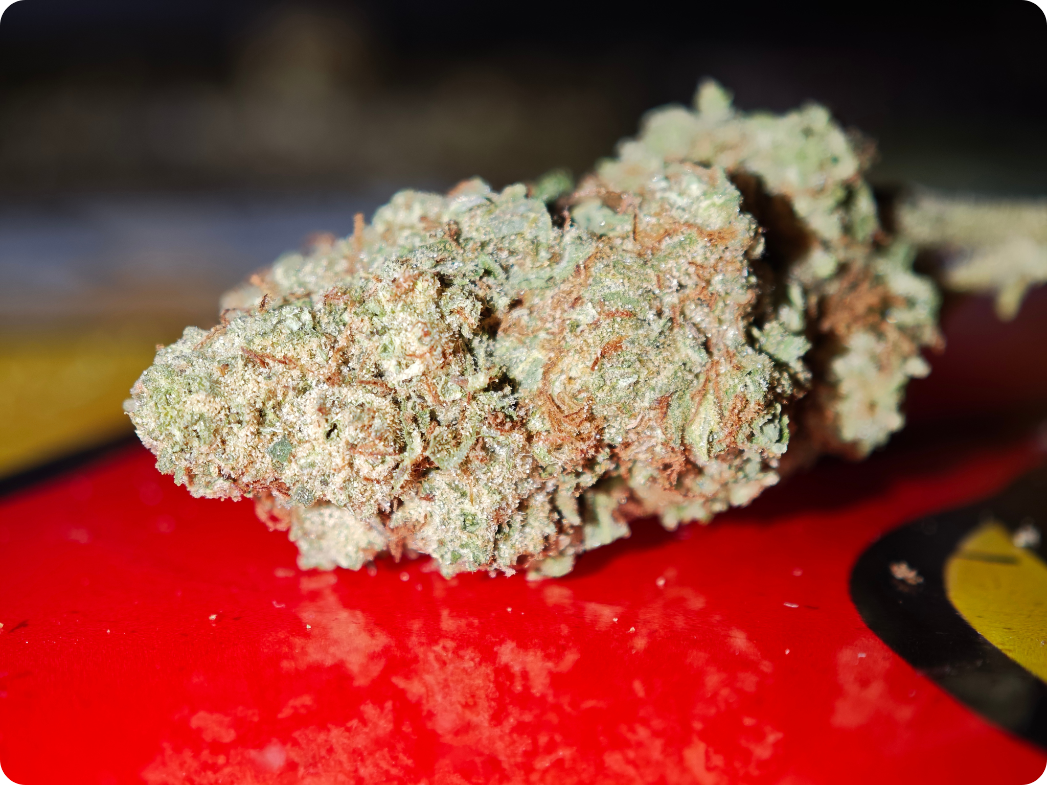 achat thca blueberry muffin thca