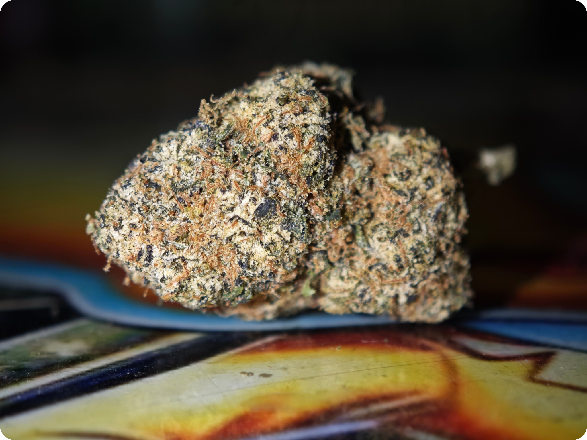 thca france , thca paris , thca bordeaux , thca lyon , thca leaf gold , gelato thca