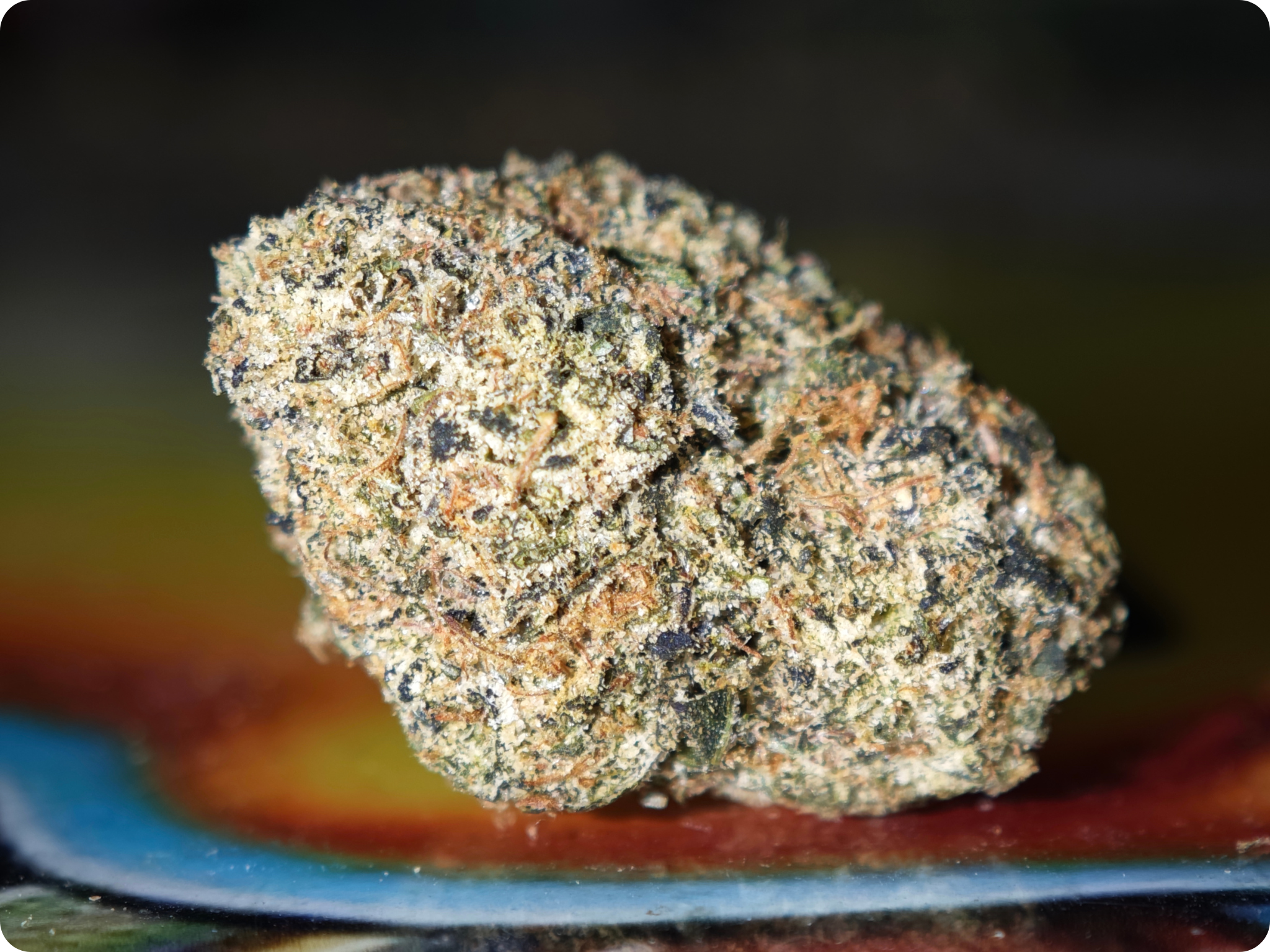 paris thca ,thca france , thca paris , thca bordeaux , thca lyon , thca leaf gold , gelato thca , achat thca , acheter thca
