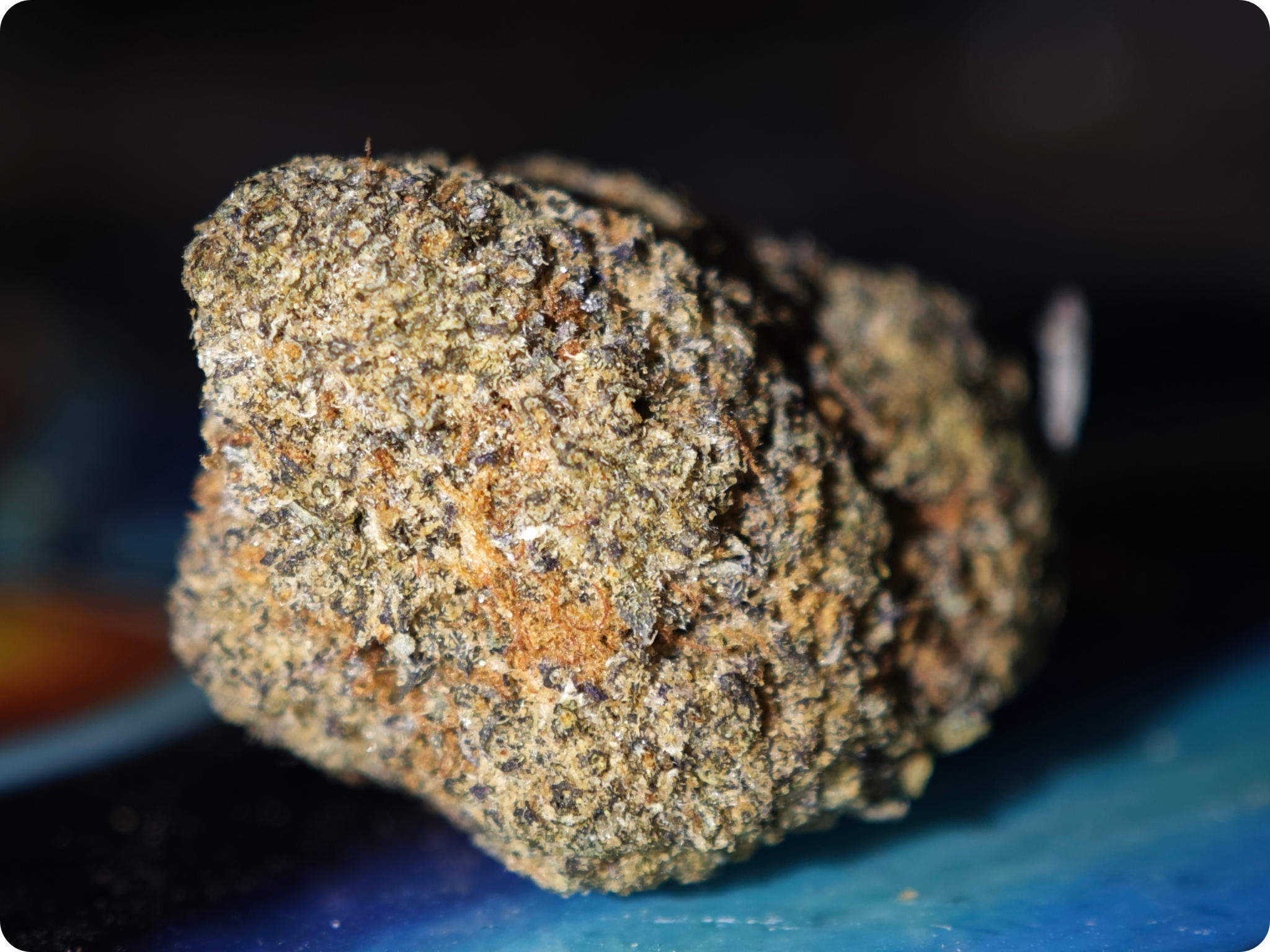 paris thca , cereal milk thca , leaf gold thca , europe thca , buy thca , shop thca , thca fr , thca paris , thca allemagne , thca italie