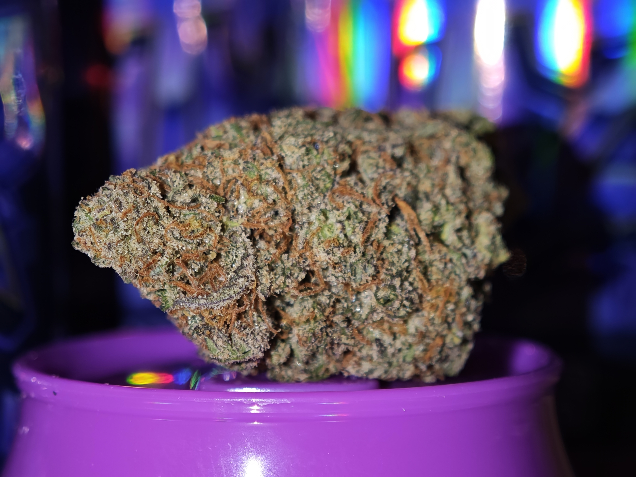 runtz usa cbd leaf gold leaf gold
