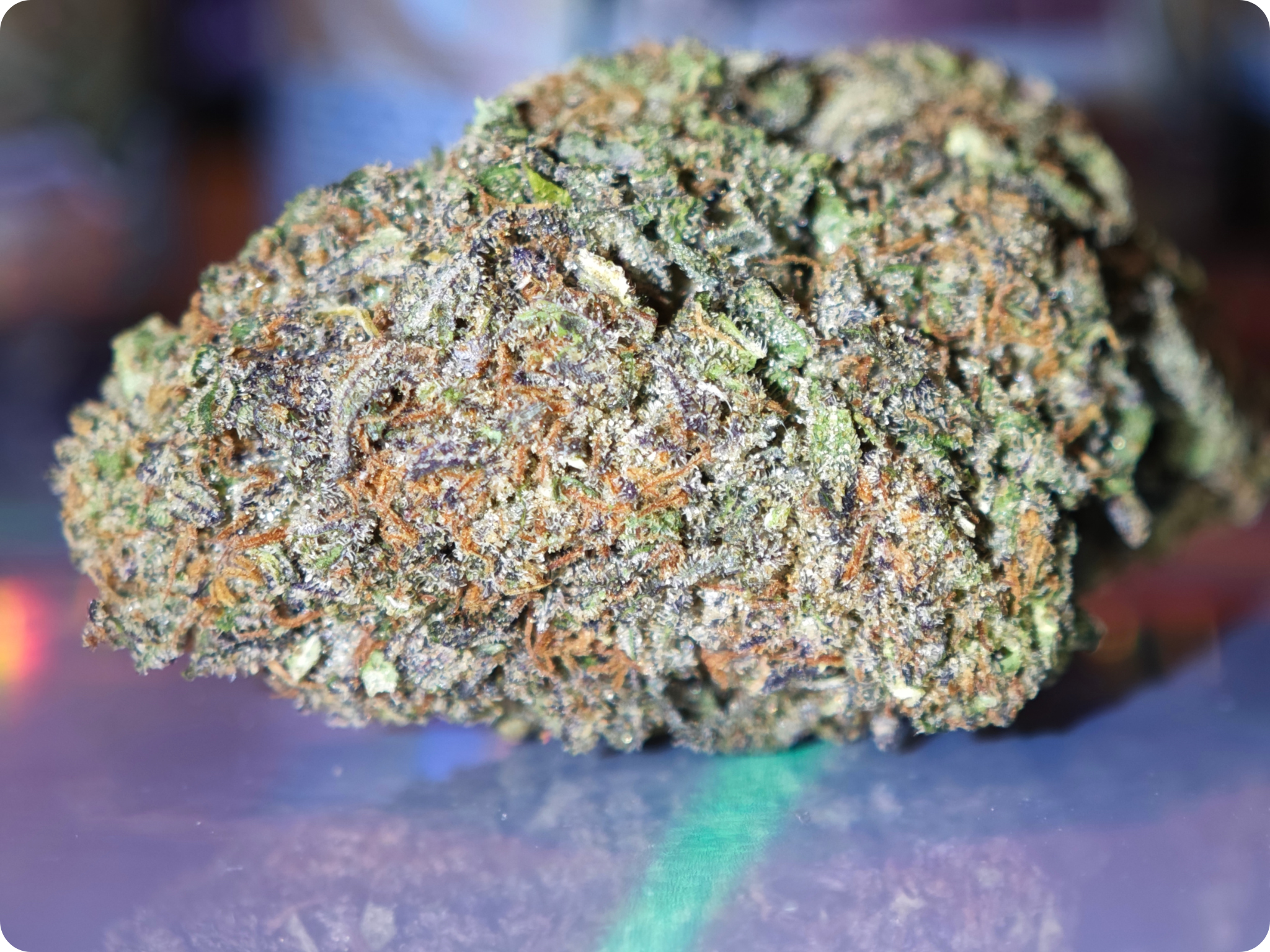 peannut butter gelato cbd