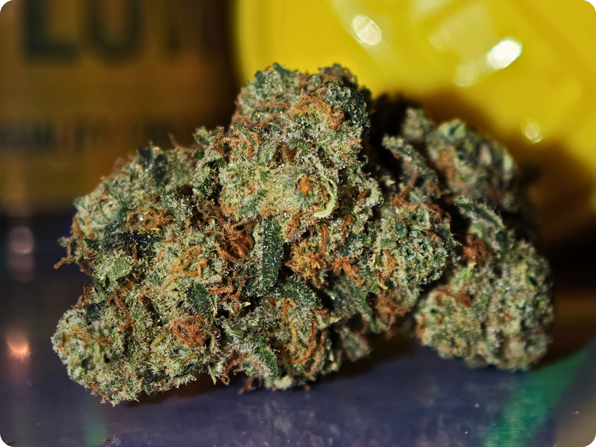 amnesia hydro suisse cbd
