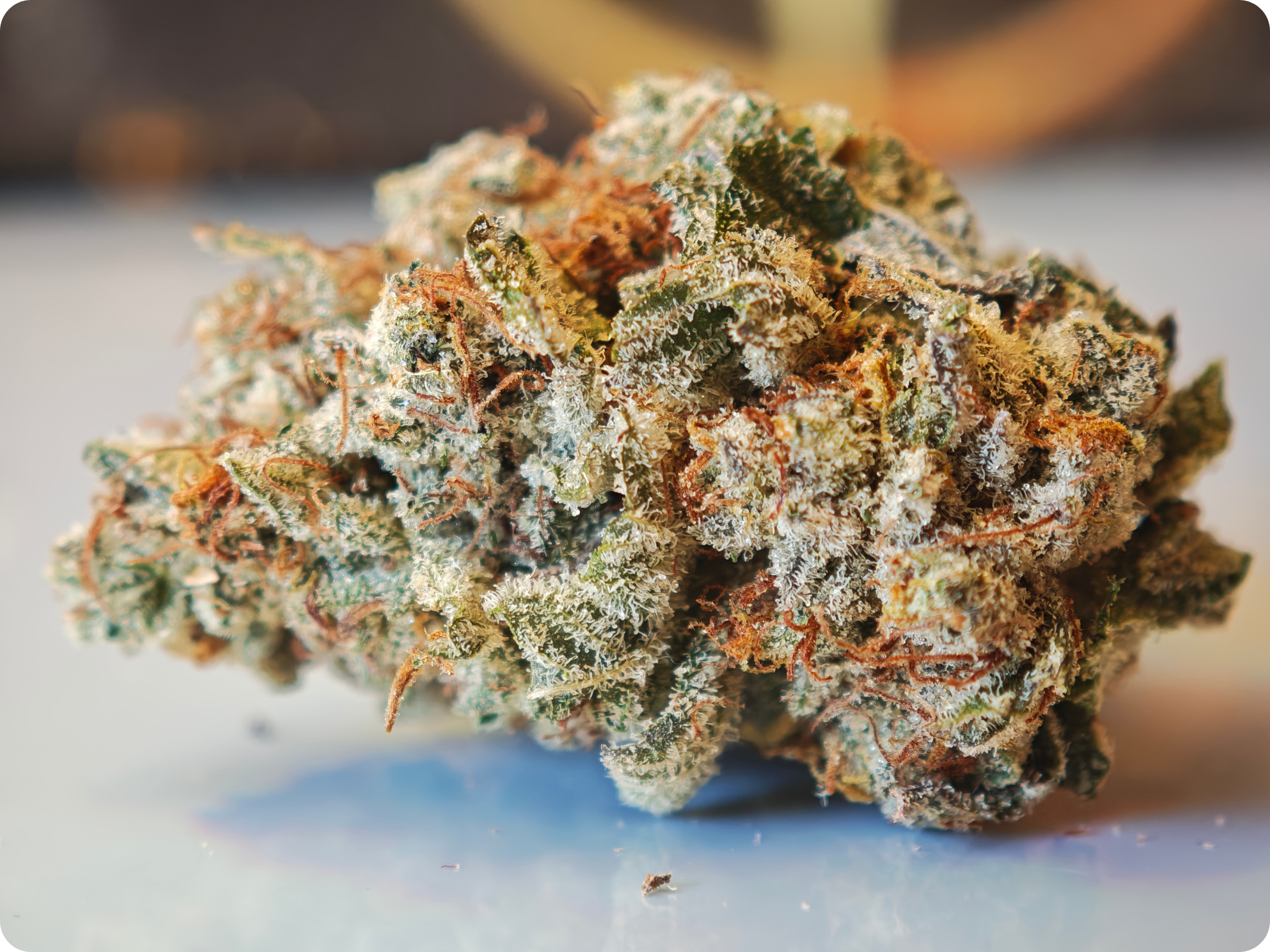 achat thca , thca france , shop thca , thca flower , mac  thca miracle alien cookie thca
