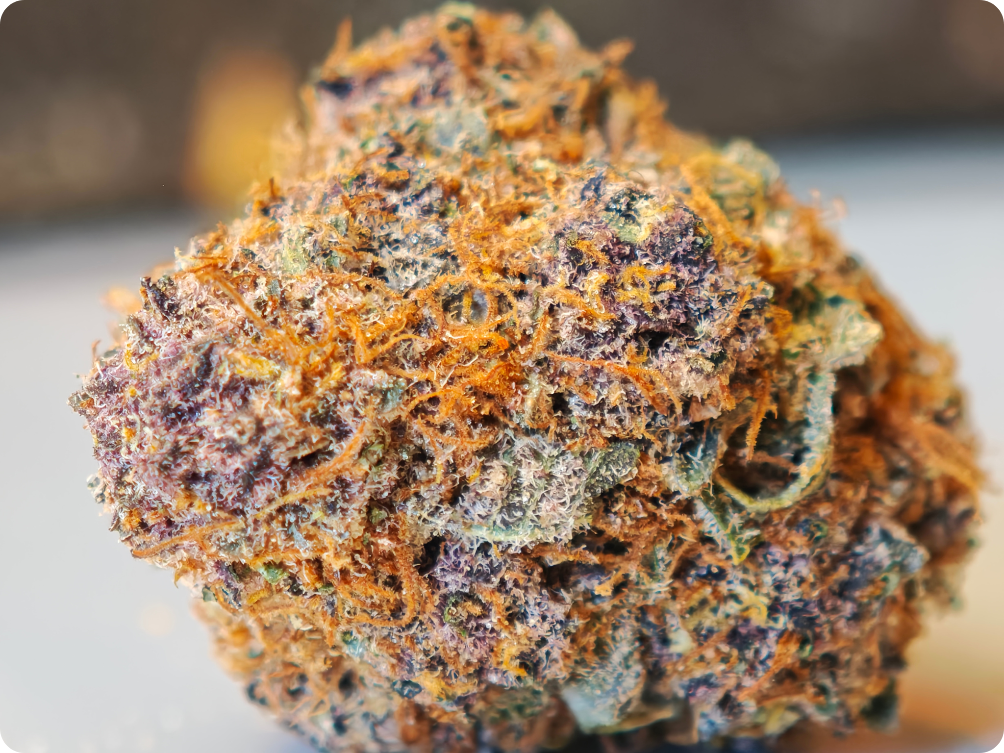 achat thca - thca france - leaf gold thca - gummiez thca , thca europe , flower thca usa