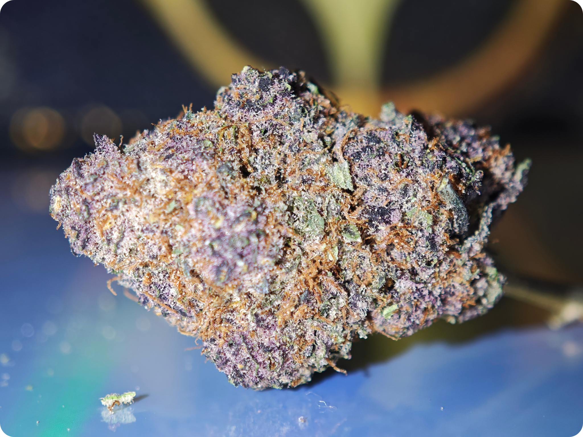 gummiez thca