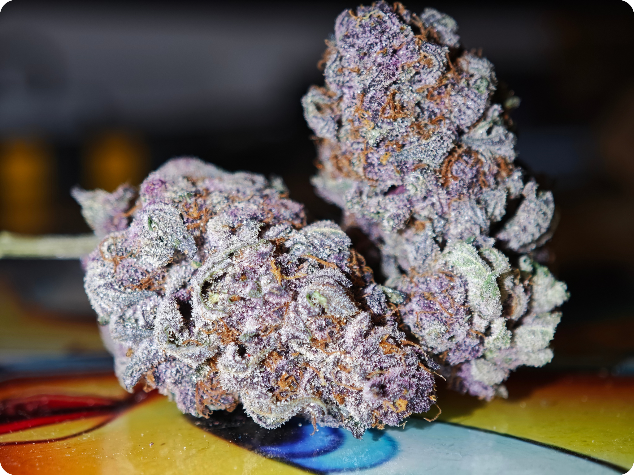 achat thca- thca france - thca europe - black cherry thca - leaf gold thca - thca naturel