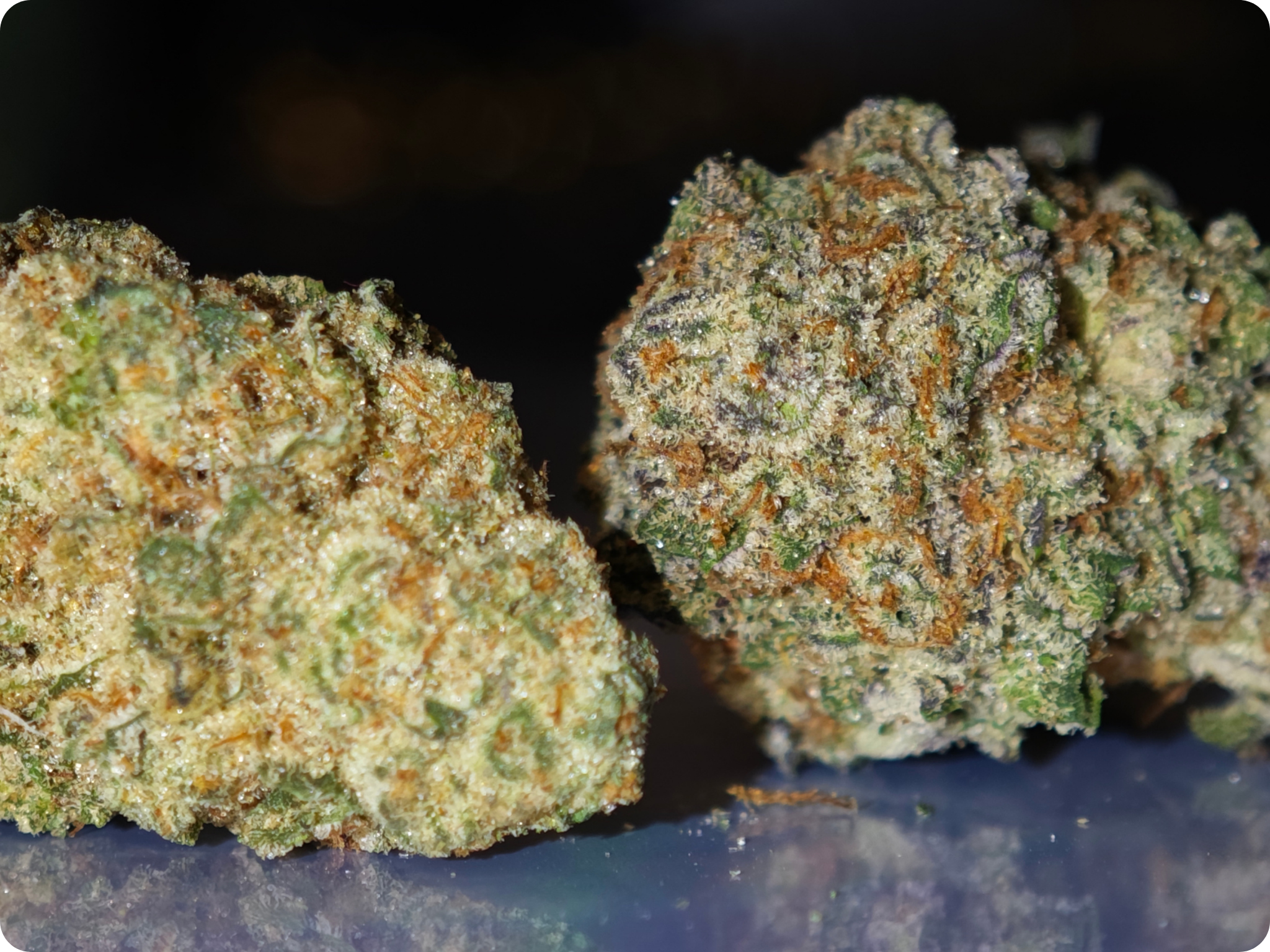 thca france achat thca - thca france - thca europe - oreoz thca - leaf gold thca