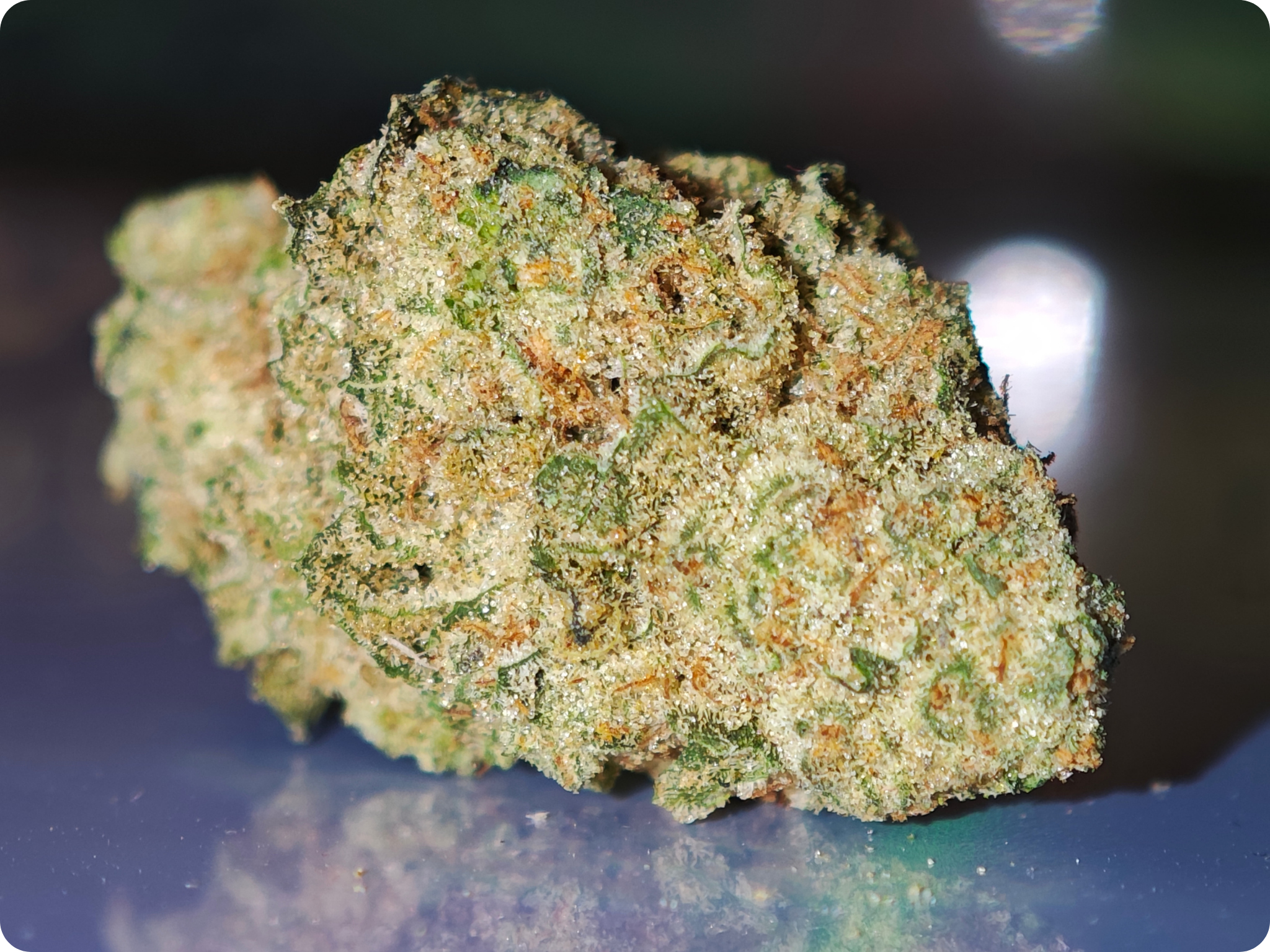 glitter bomb , achat thca - thca france - thca europe - oreoz thca - leaf gold thca