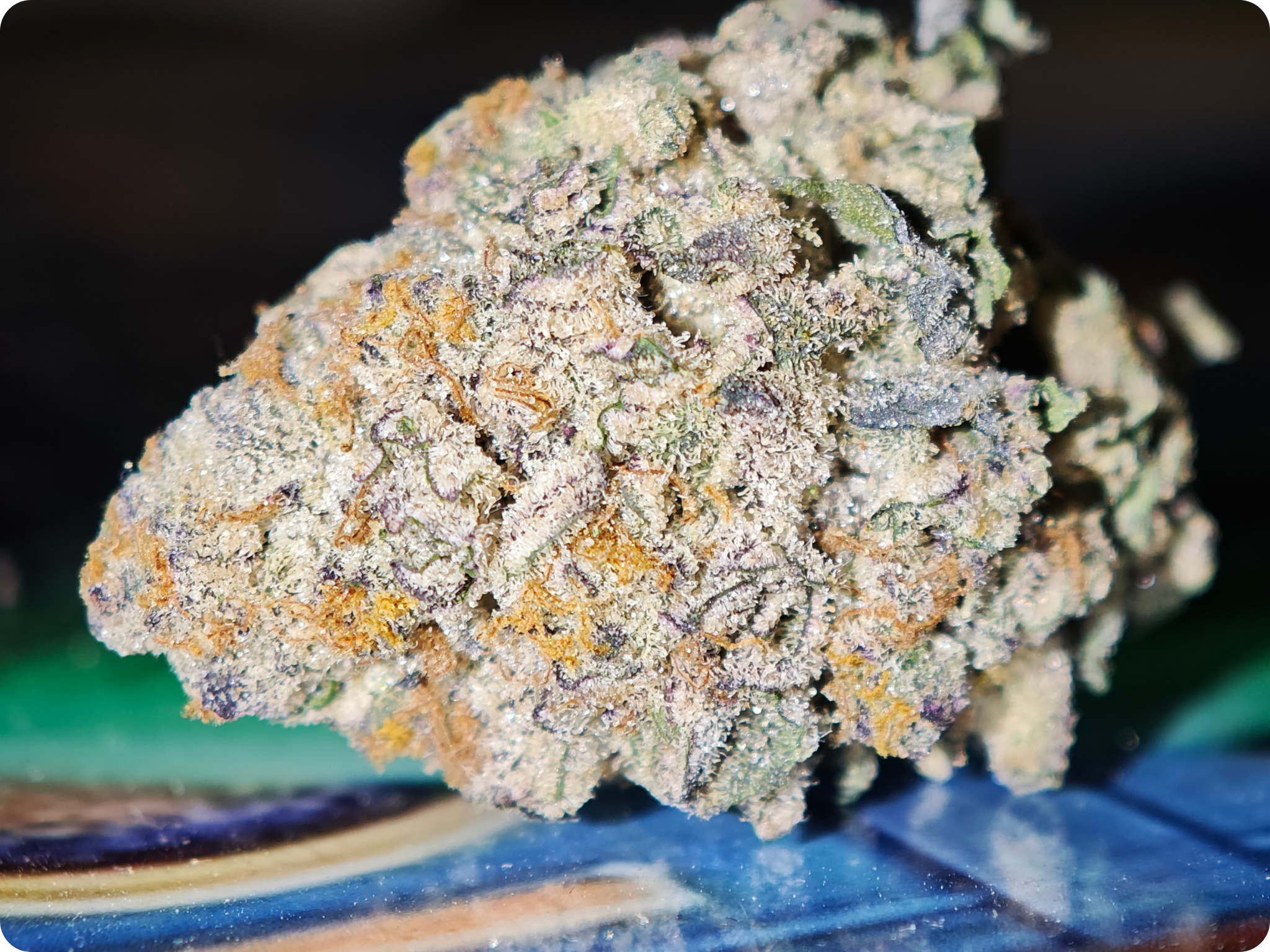 ACHAT THCA - thca frcance -thca paris , thca allemagne , thca belgique , thca perpignan , thc marseille , thca ile de france , thca spain , thca wholesale , leaf gold thca , best seller thca , thca premium leaf gold