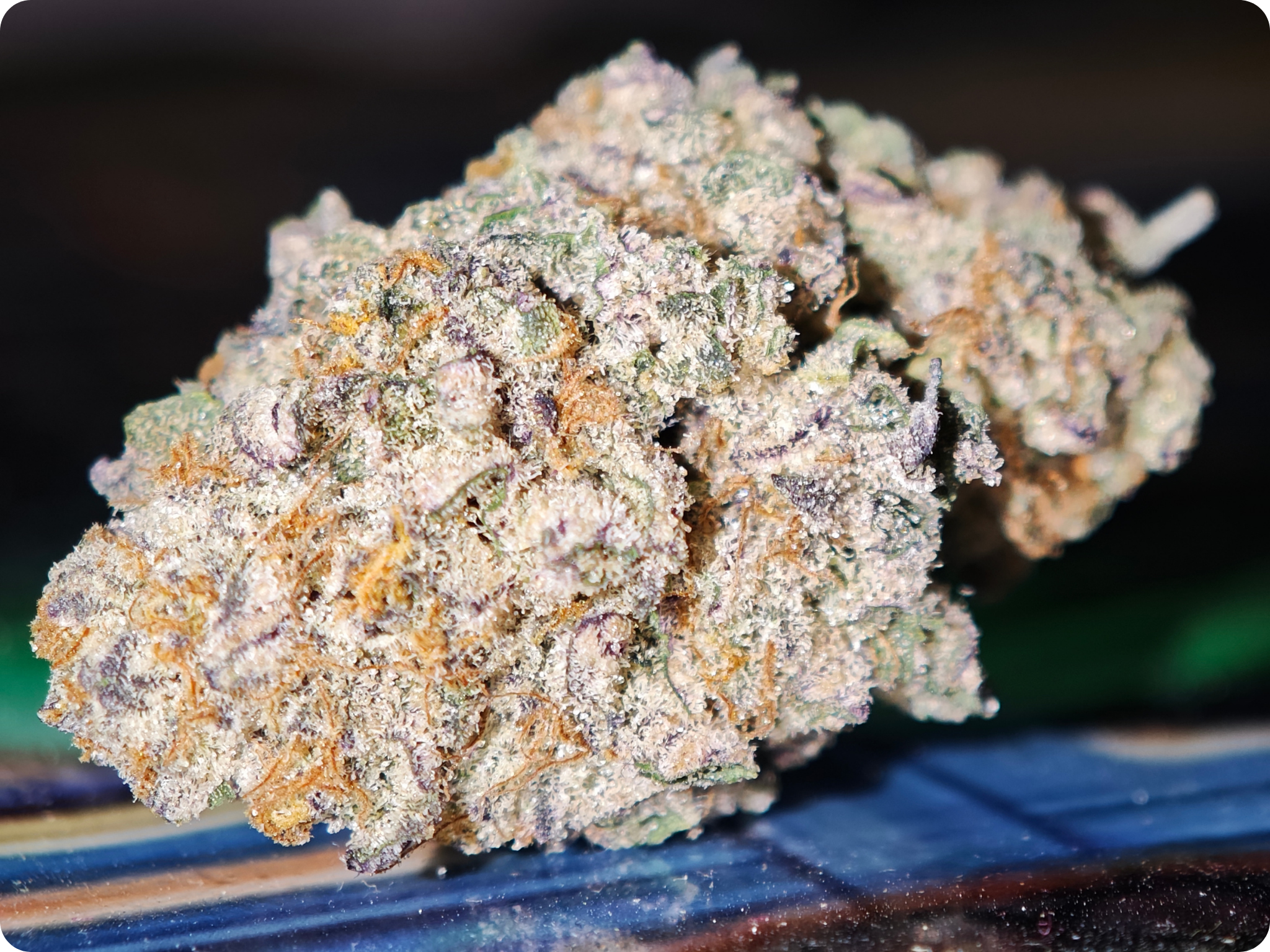 ACHAT THCA - thca frcance -thca paris , thca allemagne , thca belgique , thca perpignan , thc marseille , thca ile de france , thca spain , thca wholesale , leaf gold thca , best seller thca , thca premium