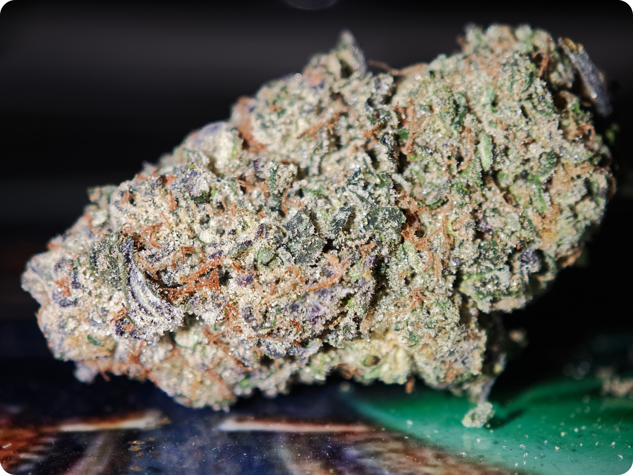 sour apricot thca flower leaf gold ACHAT THCA - thca frcance -thca paris , thca allemagne , thca belgique , thca perpignan , thc marseille , thca ile de france , thca spain , thca wholesale , leaf gold thca , best