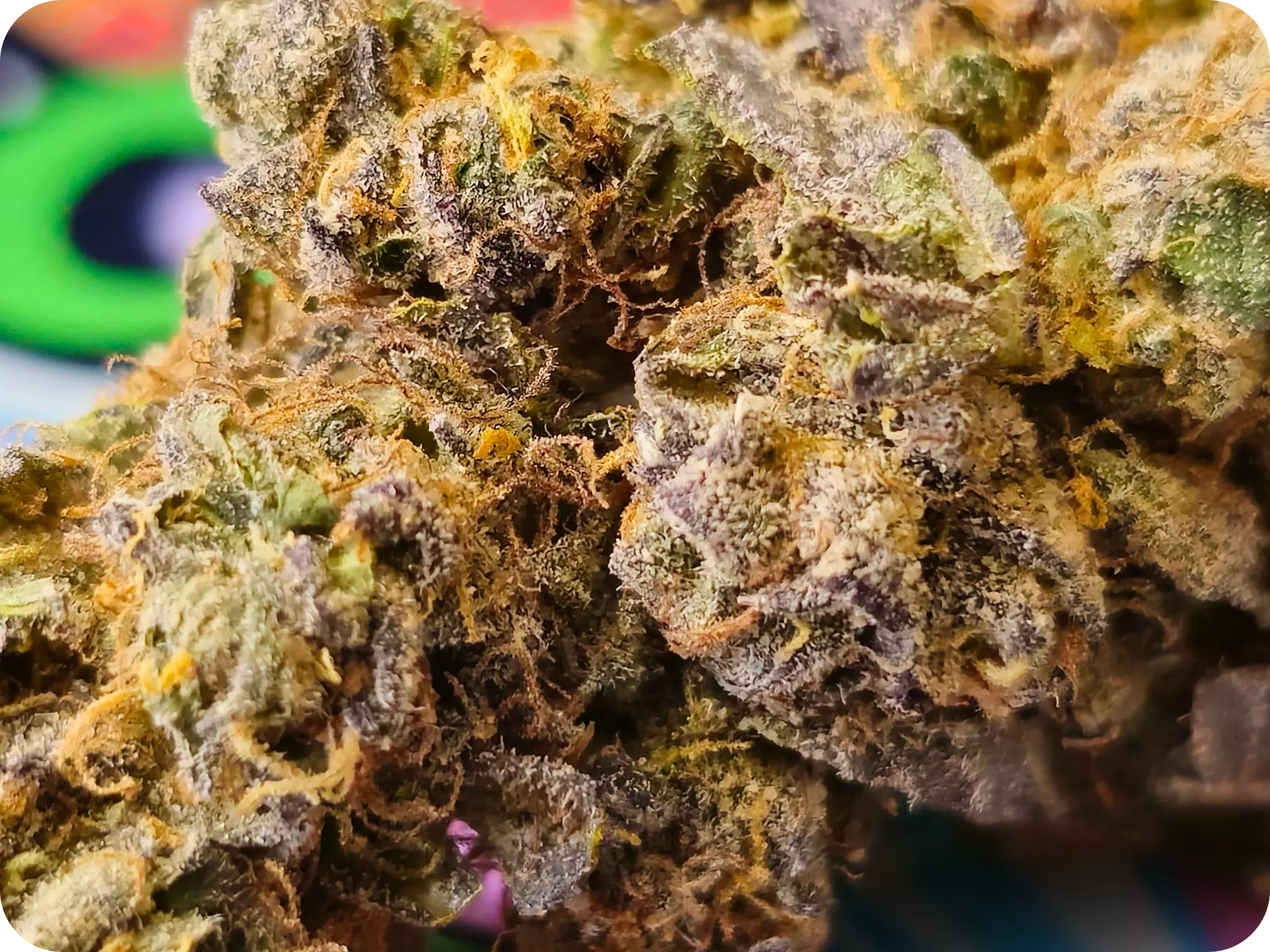 achat thca , fleurs thca , shop thca , thca france , thca naturel , leader thca  , hash thca, vape thca , leaf gold, jungle dream cereal milk