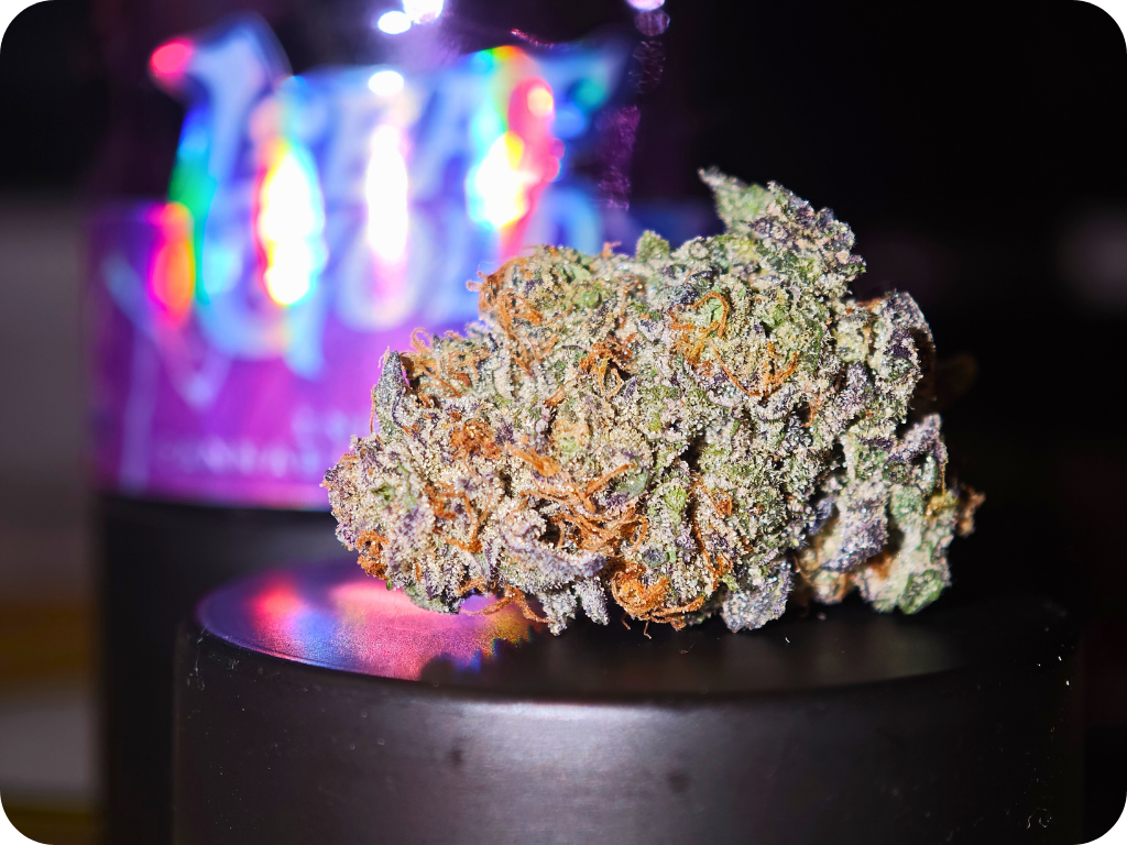 shop thca acha thca shop thca france comprar thca thc aitalia thca spain thca europe thca leaf gold