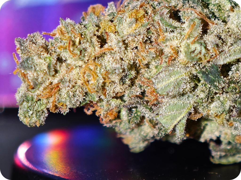leaf gold achat thca shop thca , thca france , comprar thca , thca europe , orange pop thca