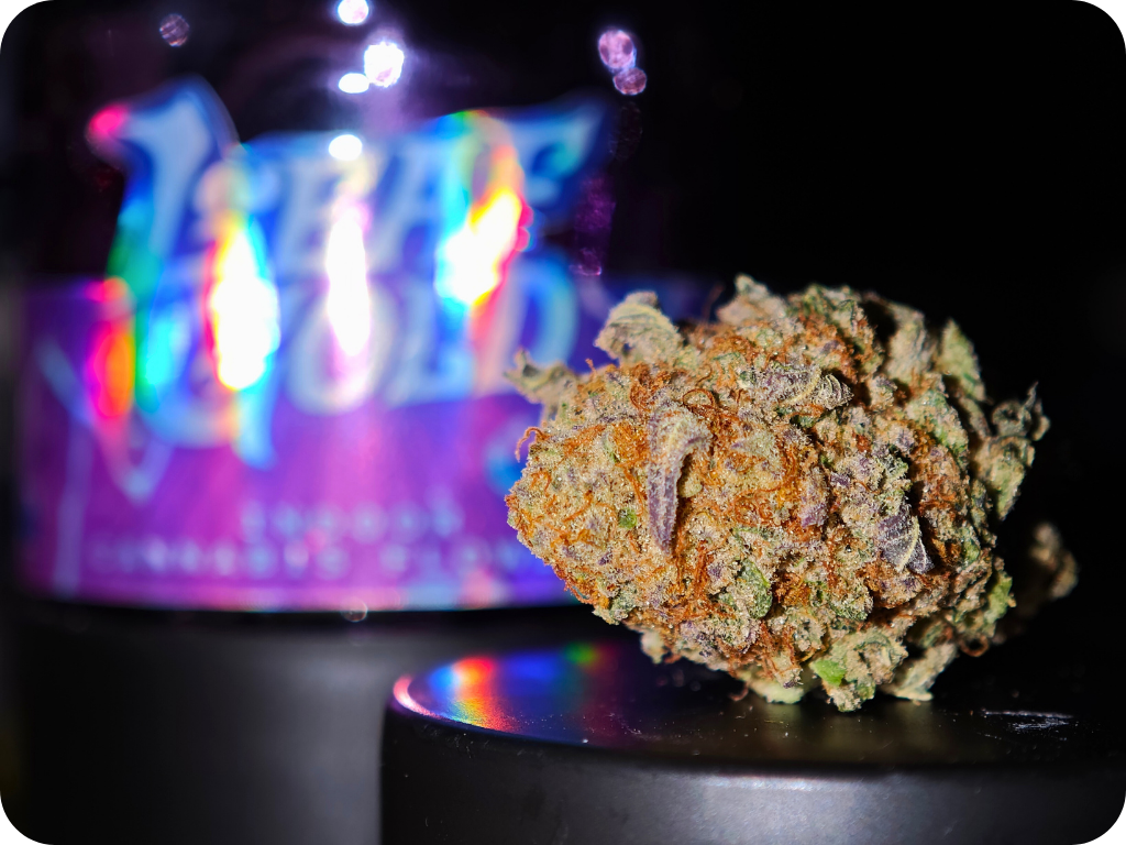 pitaya thca achat thca shop thca , thca france , comprar thca , thca europe , orange pop thca