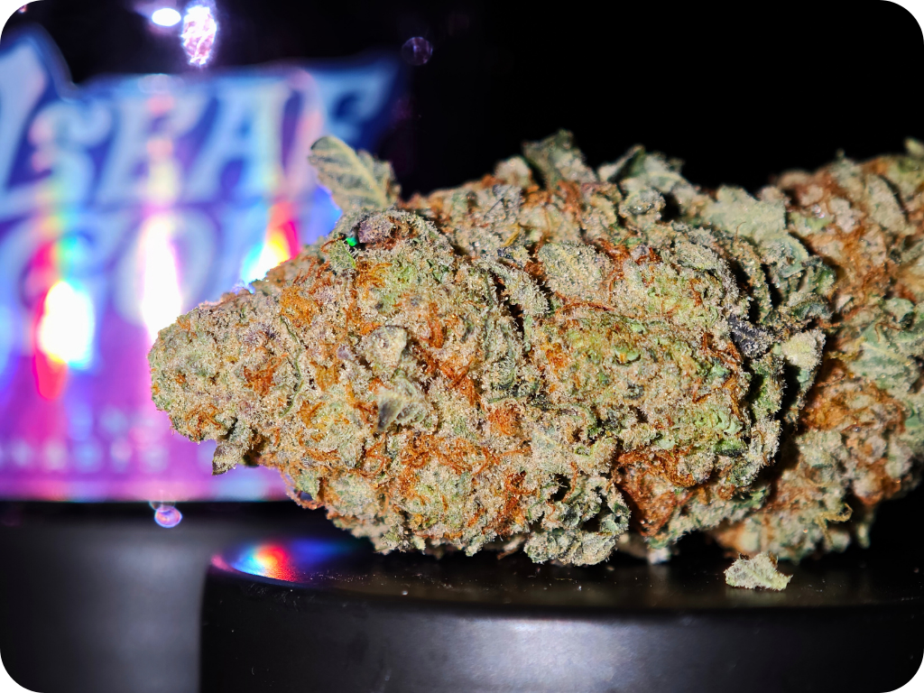 pitaya thca usa achat thca shop thca , thca france , comprar thca , thca europe , orange pop thca