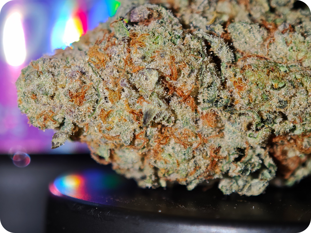 fleur thca