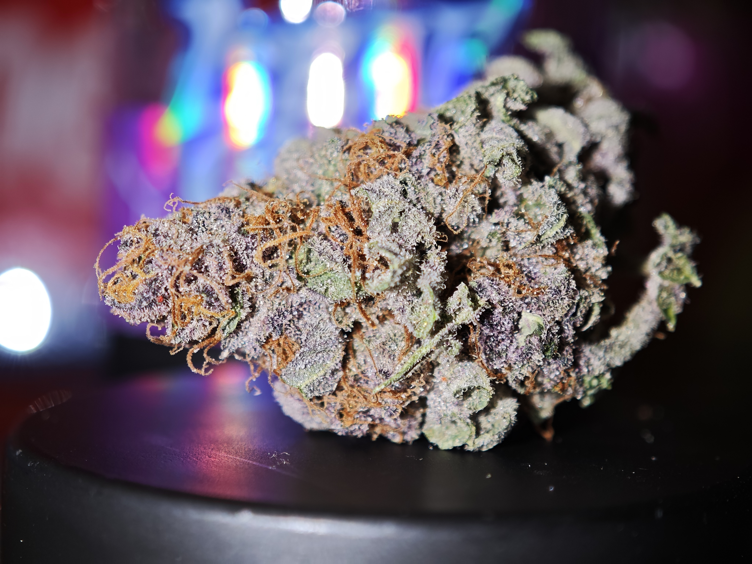 pink rosay thca