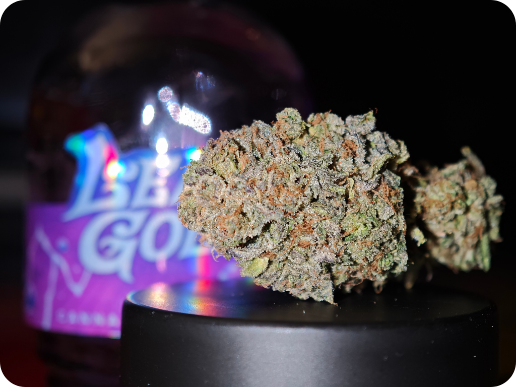 georgia pîe thca