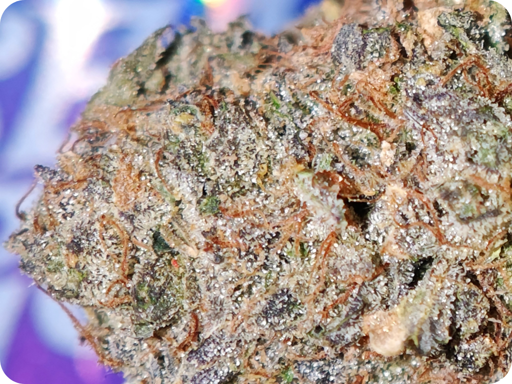 thca france