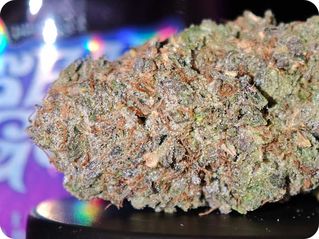 achat thca france comprar thca italia georgia pie us a