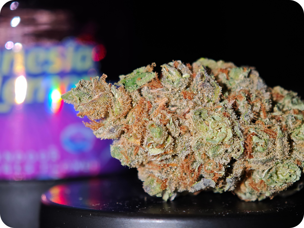 achat thca thca france amnesia thca