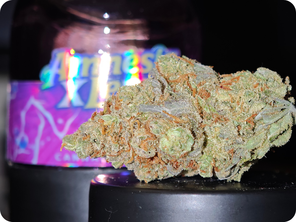 leaf gold achat thca thca france amnesia thca