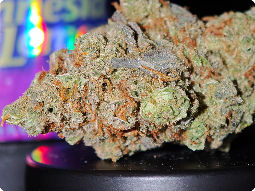 thca france , italia , spain achat thca thca france amnesia thca