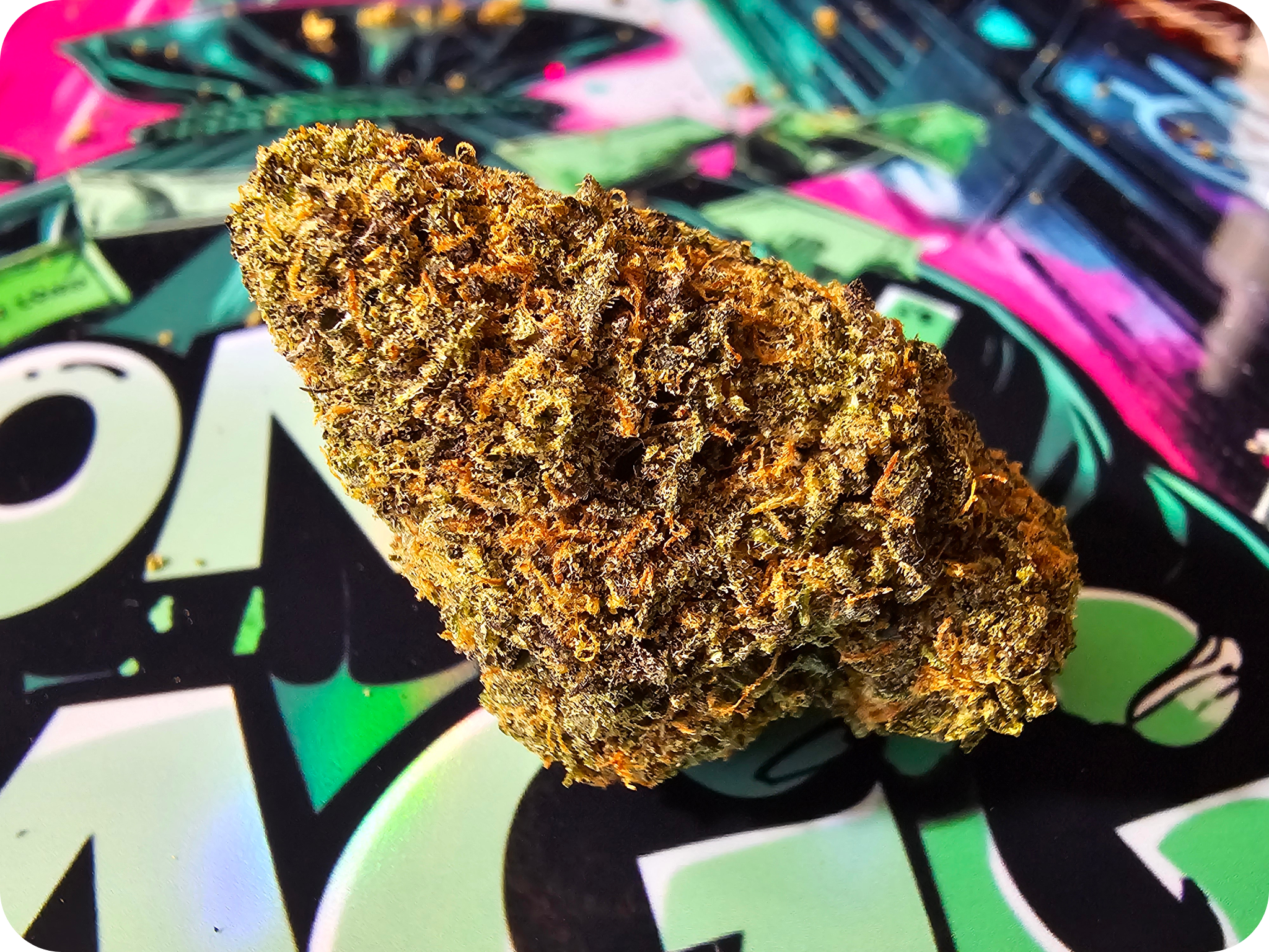 achat thca , thca france , monet bagg runtz thca , thca californie , jungle dream thca , leaf gold , thca premium