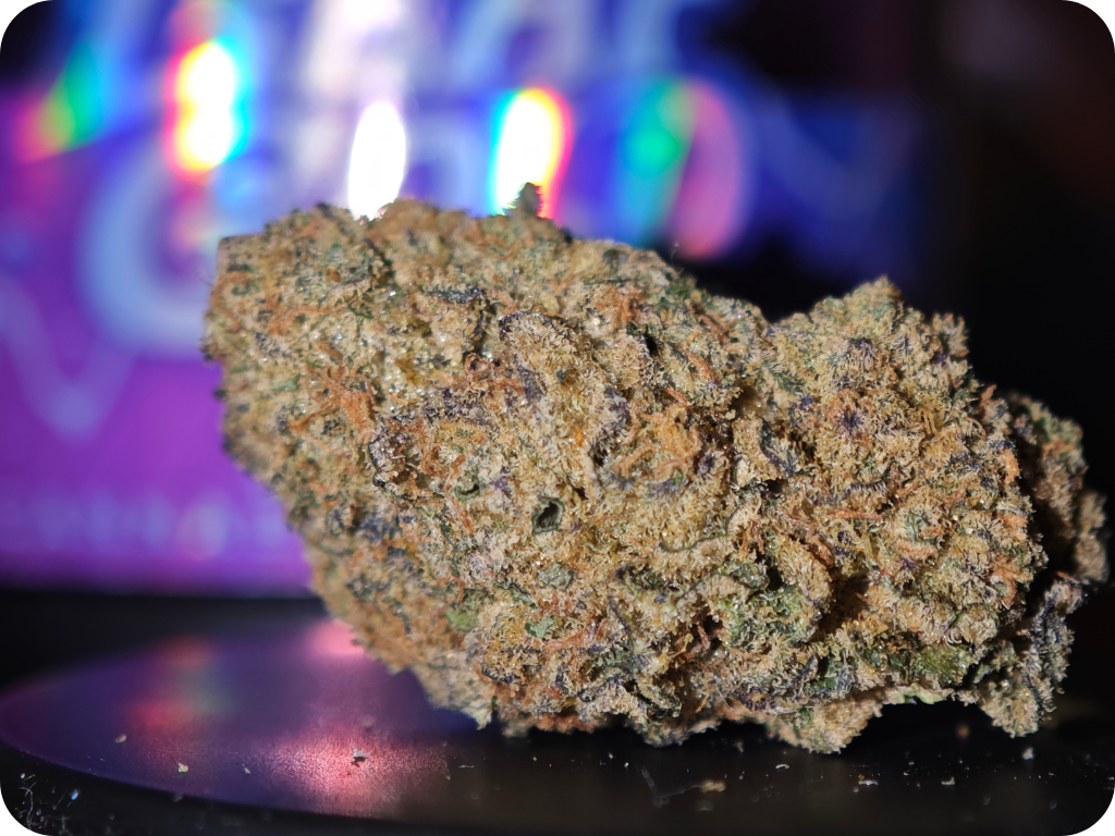 THCA FRANCE thca france thca europe thca delivery europe shop thca leaf gold thca gary payton thca