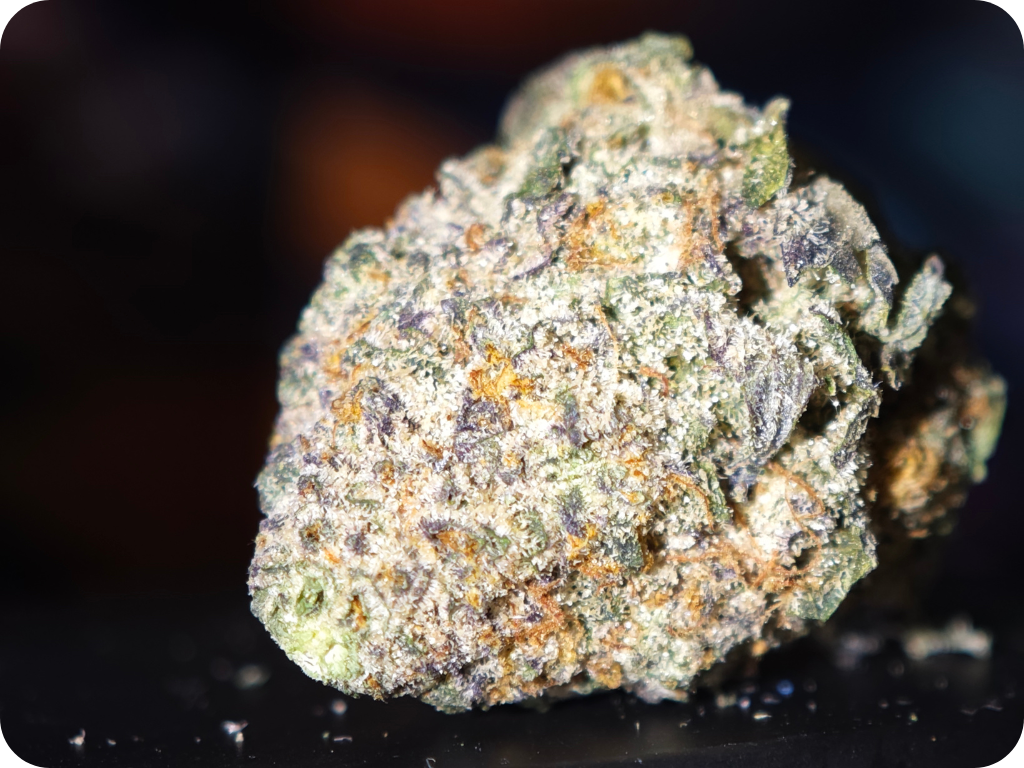 THCA FRANCE ACHAT THCA THCA DELIVERY EUROPE COMPRAR THCA BUY THCA SHHOP THCA TOP SHELF LEAF GOLD LEADER