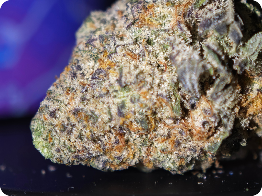 THCA FRANCE ACHAT THCA THCA DELIVERY EUROPE COMPRAR THCA BUY THCA SHHOP THCA TOP SHELF LEAF GOLD LEADER (2)
