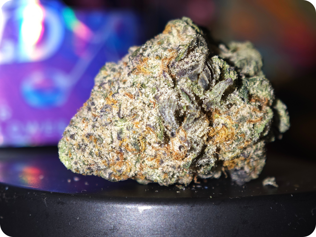 THCA FRANCE ACHAT THCA THCA DELIVERY EUROPE COMPRAR THCA BUY THCA SHHOP THCA TOP SHELF LEAF GOLD LEADER (3)
