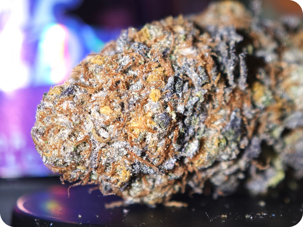 THCA FRANCE THCA LEAF GOLD LEADER THCA BEST THCA THCA NATURAL THCA PARIS THCA MARSEILLE THCA  TOULOUSE PERPIGNAN BELGIQUE  ESPAGNE
