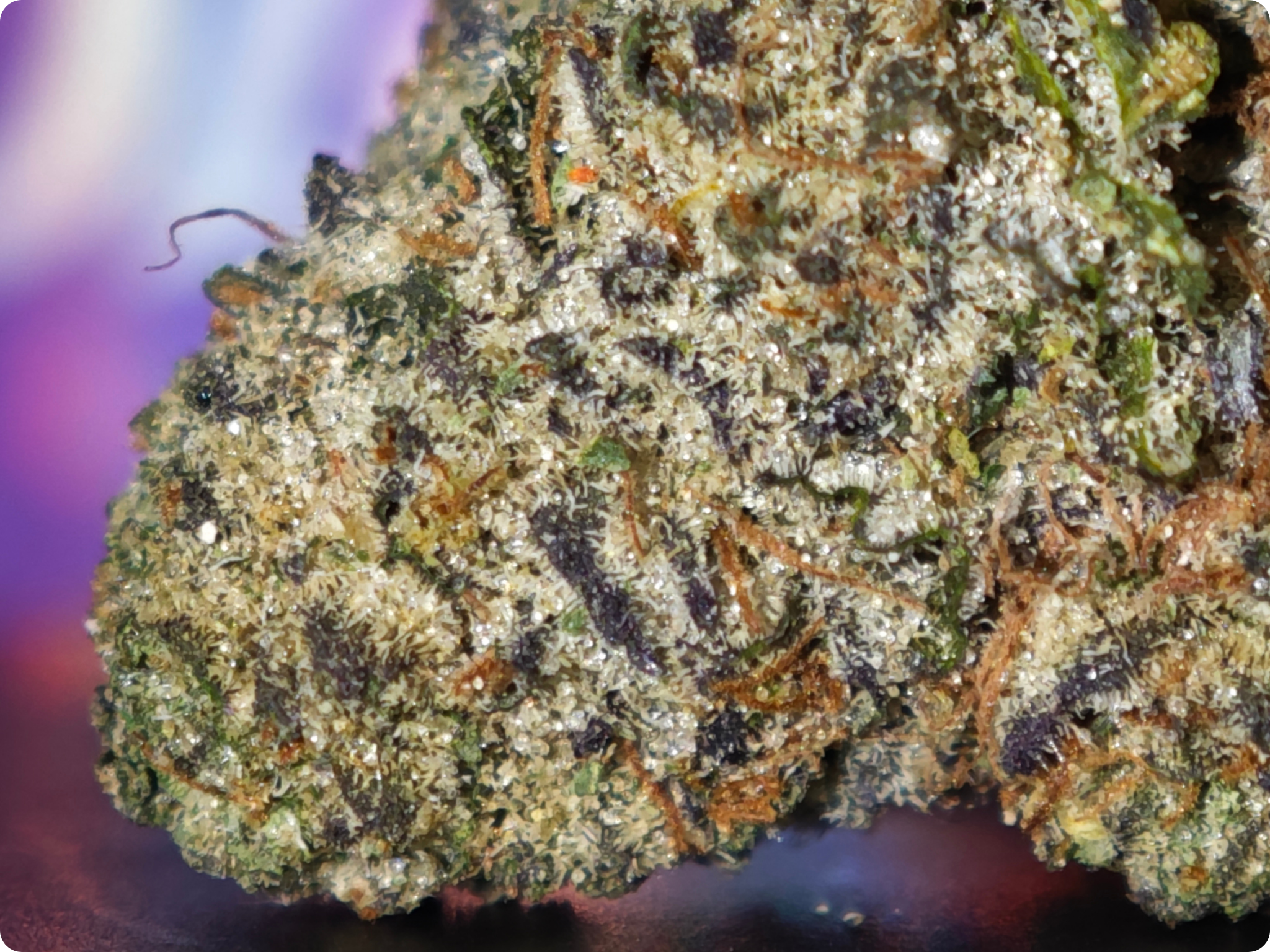 achat thca - thca france - shop thca - thca europe delivery - thca naturel - thca usa - thca marseille - thca paris - thca perpignan - thca belgique - thca italia - thca europe - leader thca - leaf gold thca - best sel (3)
