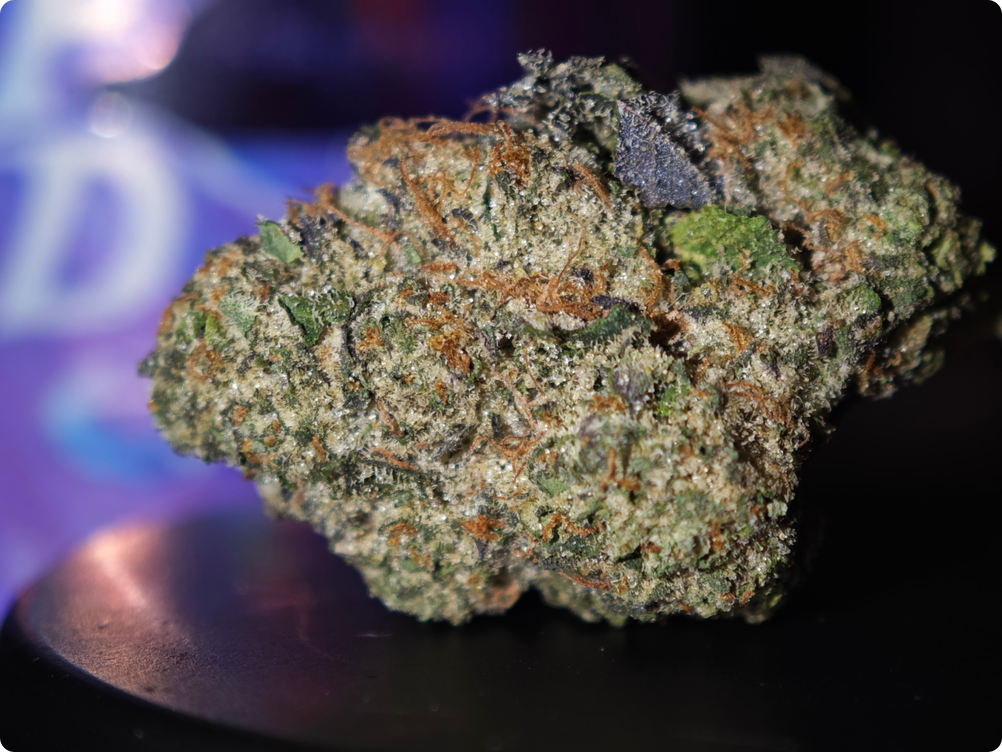 achat thca - thca france - shop thca - thca europe delivery - thca naturel - thca usa - thca marseille - thca paris - thca perpignan - thca belgique - thca italia - thca europe - leader thca - leaf gold thca - best selle