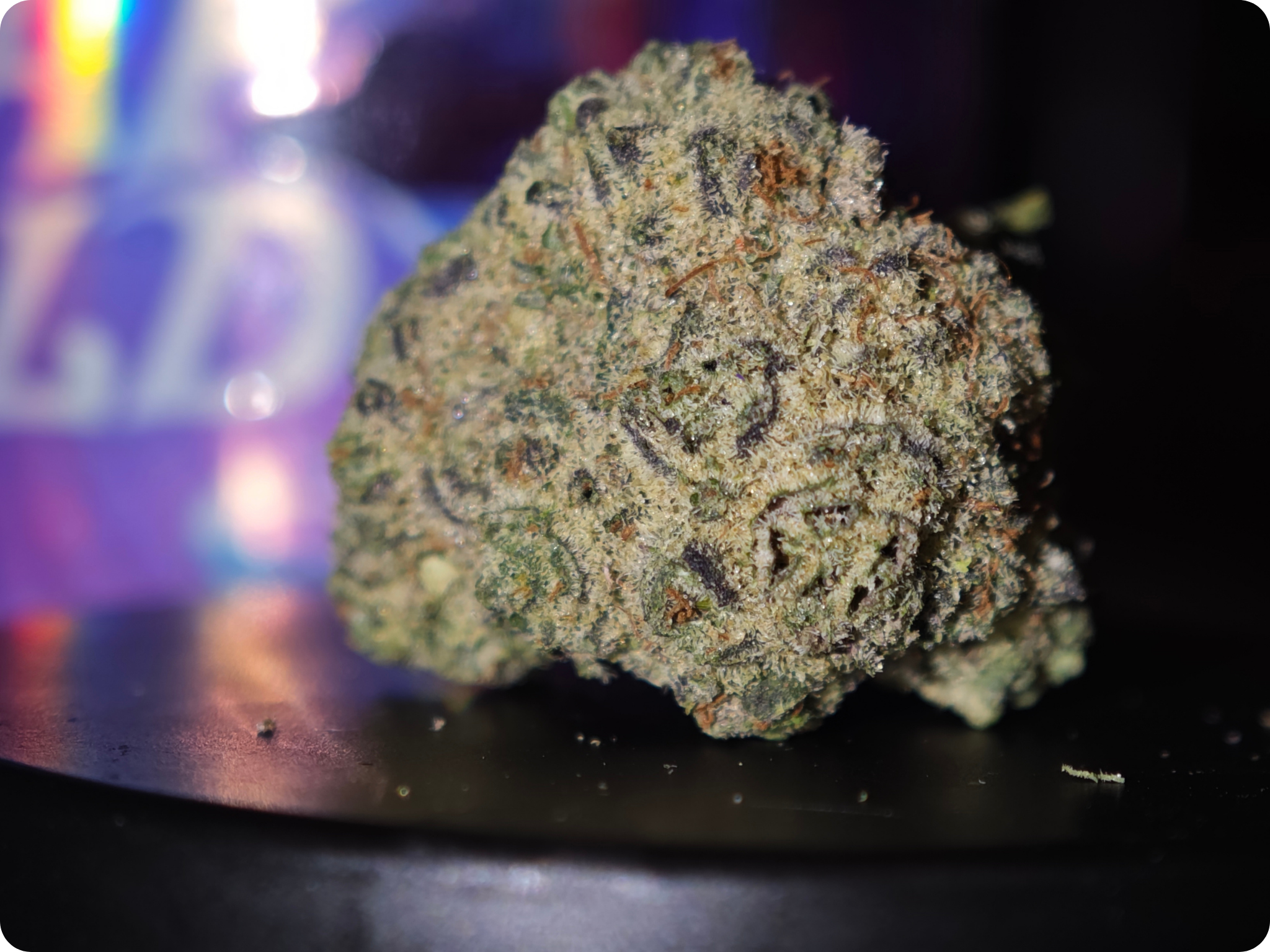 achat thca - thca france - shop thca - thca europe delivery - thca naturel - thca usa - thca marseille - thca paris - thca perpignan - thca belgique - thca italia - thca europe - leader thca - leaf gold thca - best selle