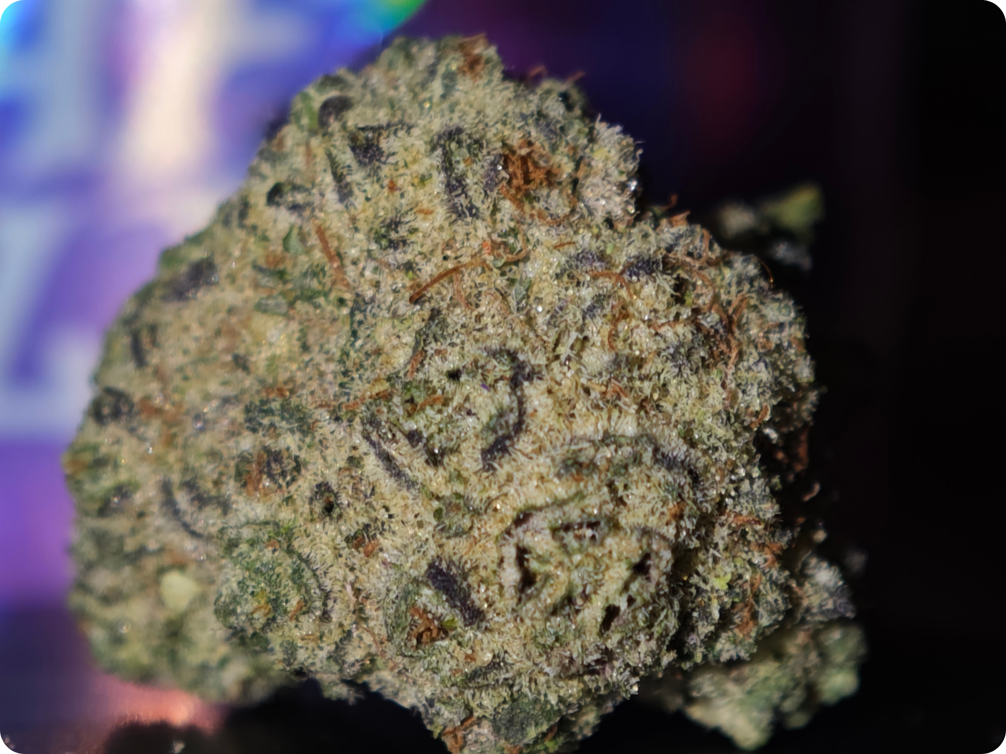 achat thca - thca france - shop thca - thca europe delivery - thca naturel - thca usa - thca marseille - thca paris - thca perpignan - thca belgique - thca italia - thca europe - leader thca - leaf gold thca - best sel
