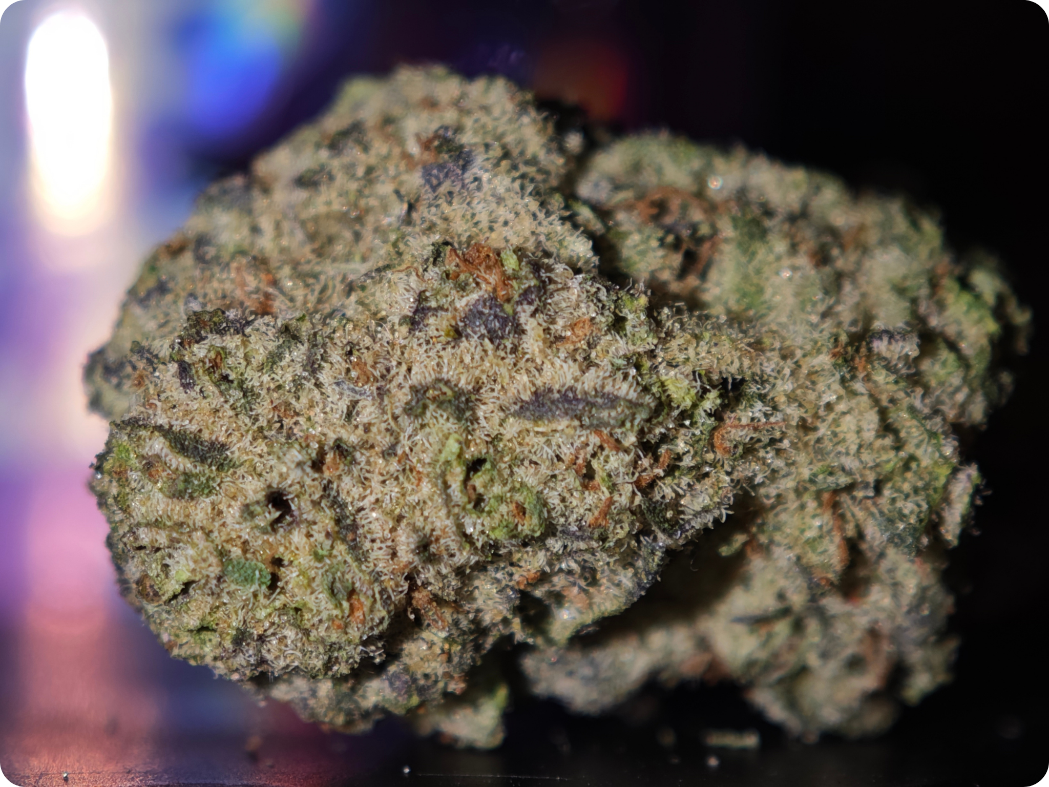 achat thca - thca france - shop thca - thca europe delivery - thca naturel - thca usa - thca marseille - thca paris - thca perpignan - thca belgique - thca italia - thca europe - leader thca - leaf gold thca - best sel (2)
