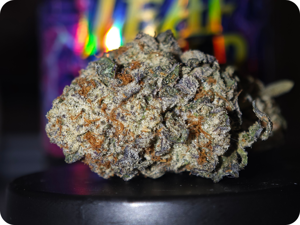 leaf gold thca hashburger thca , achat thca , shop thca , thca delivery europe , thca usa , leaf gold thca , best thca