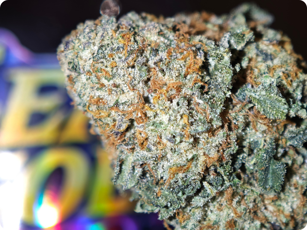 sour grape fleurs thca france usa