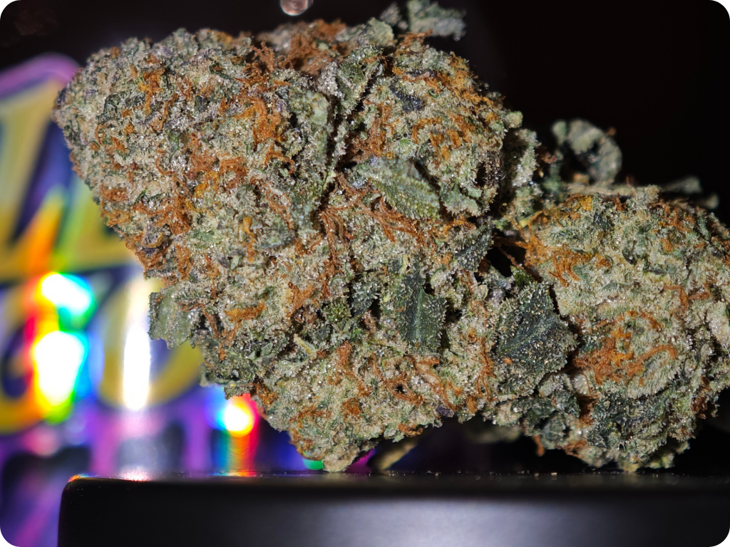 sour grape achat thca shop thca thca france
