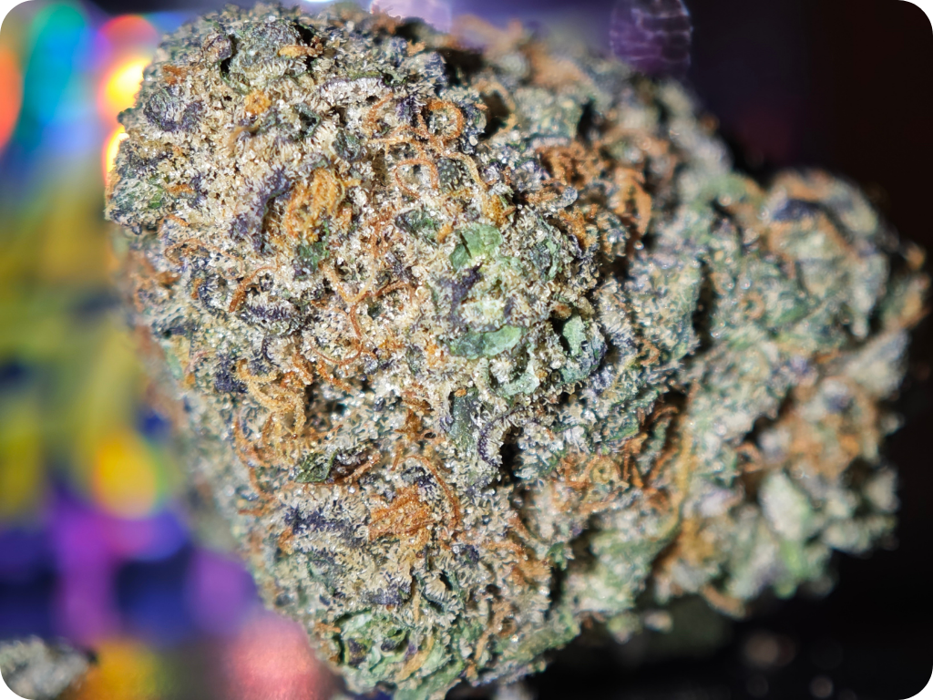 trichomes thca