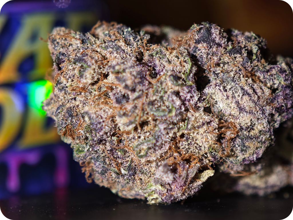 cherry bomb thca fleurs thca france achat thca europe usa