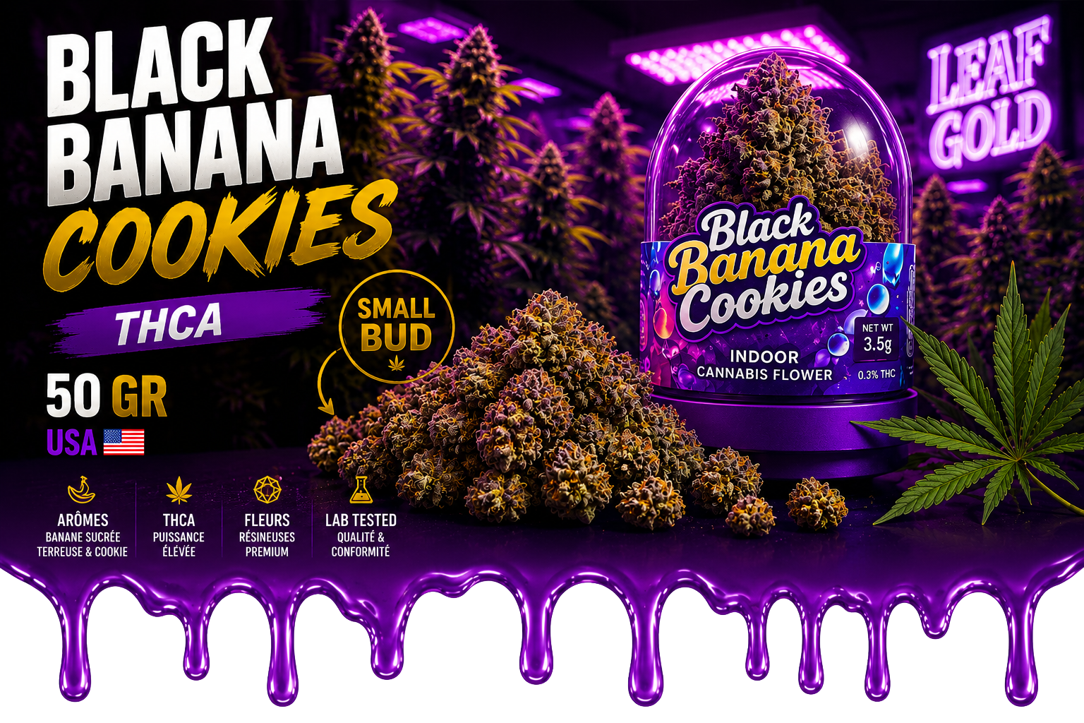 Black Banana Cookies THCA 50G USA