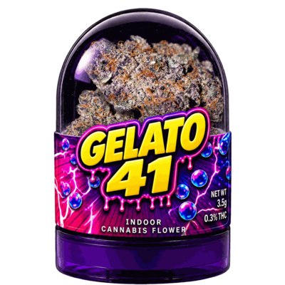 GELATO 41